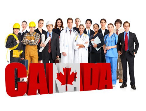 哪家移民中介公司好？三步锁定靠谱伙伴