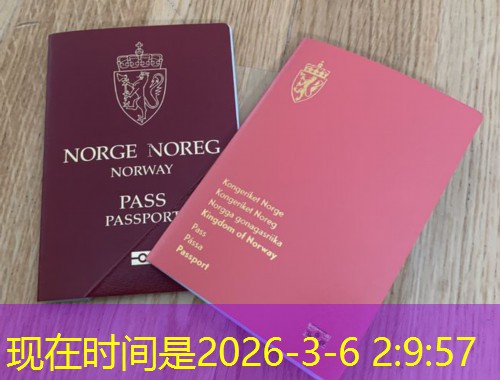 从长白山到伊比利亚：吉林人如何优雅“登陆”西班牙？